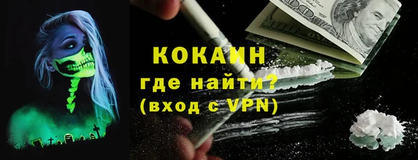 сатива Богданович