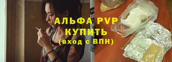 спиды Богородск