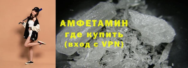 сатива Богданович