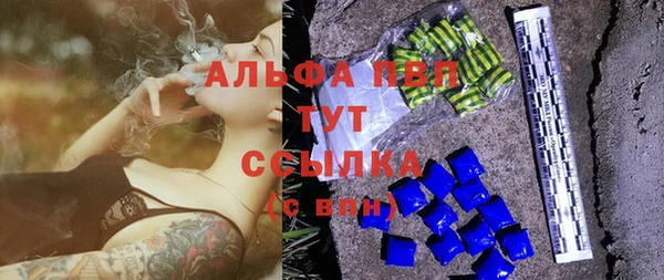 спиды Богородск