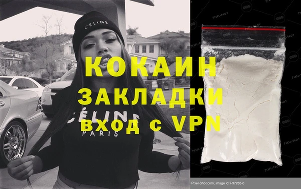 сатива Богданович