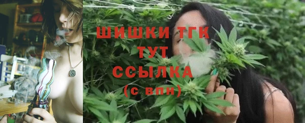спиды Богородск