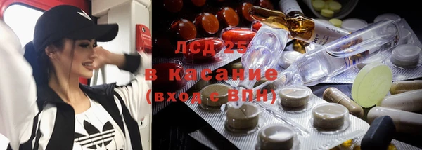 сатива Богданович