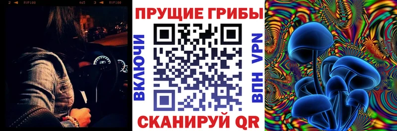 купить наркоту  Сызрань  Галлюциногенные грибы Cubensis 